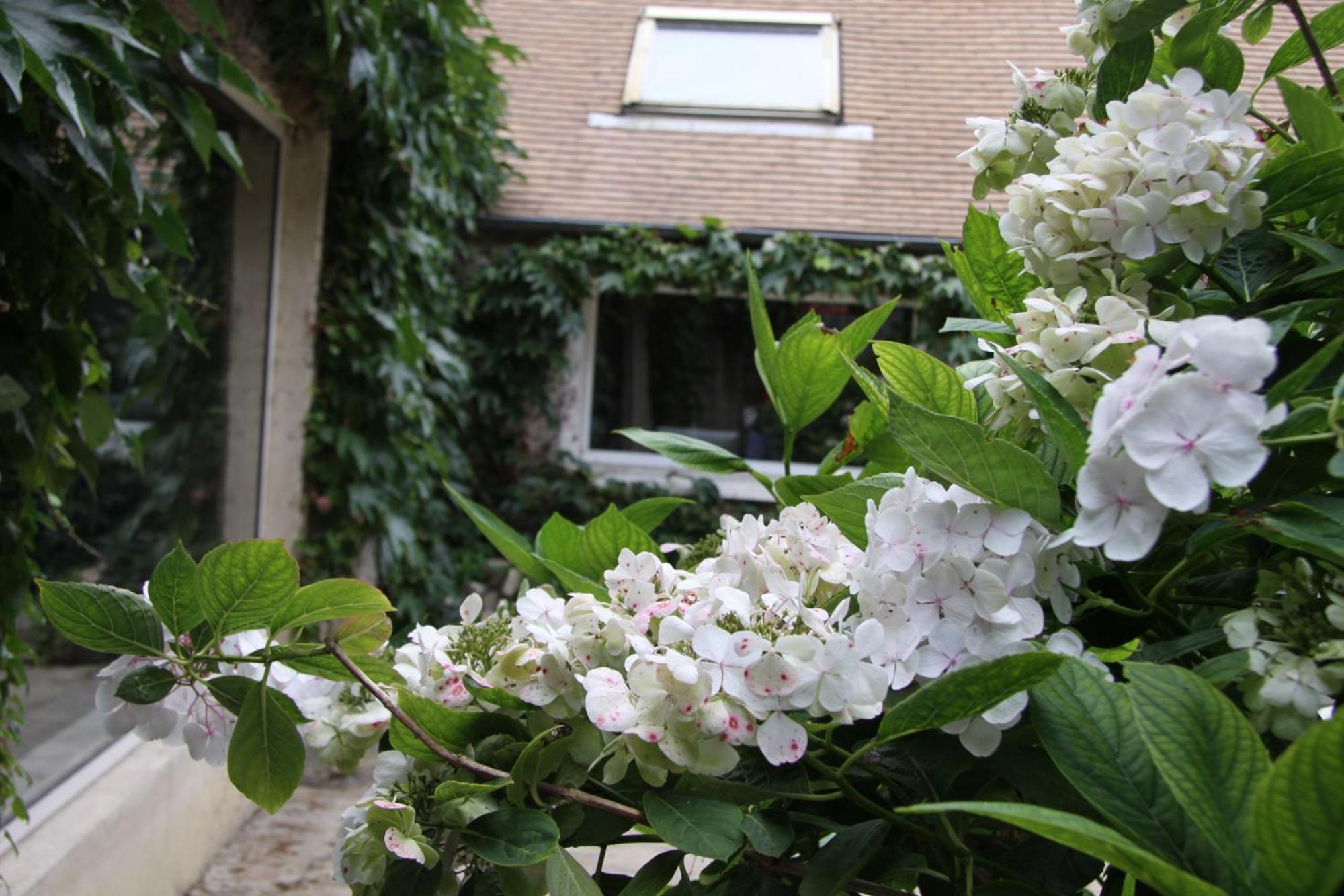 Bed and Breakfast L'Hibernie Rochefort-en-Yvelines Esterno foto